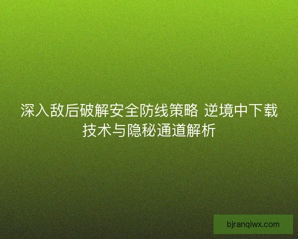 深入敌后破解安全防线策略 逆境中下载技术与隐秘通道解析